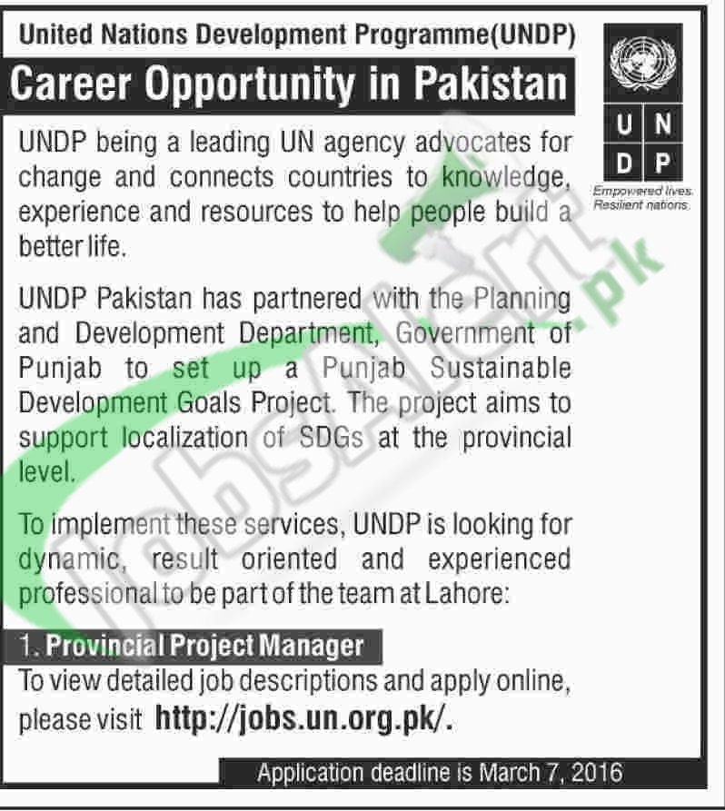 Situations Vacant in UNDP 2016 Lahore For Provincial Project Manager Apply Online
