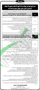 Employment Offers in Pakistan Civil Aviation Authority February/March 2016 Karachi Apply Online Career Opportunities