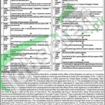 Situations Vacant in Bacha Khan University 29 February 2016 Charsadda Eligibility Criteria