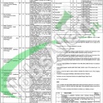 Recruitment Offers in Lahore Services Hospital 06 February 2016