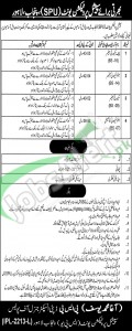 Situations Vacant in Special Protection Unit 25 February 2016 Punjab, Lahore For Security Officer, Sr Security Constable Latest