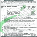 Punjab Wildlife & Parks Department 06 February 2016 For Stenographer Career Opportunities