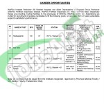 Situation Vacant in Wapda Hospital & Allied Dispensaries 2016 Peshawar NTS Application Form Latest Advertisement