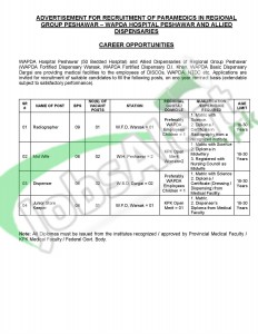 Situation Vacant in Wapda Hospital & Allied Dispensaries 2016 Peshawar NTS Application Form Latest Advertisement