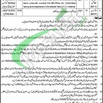 District and Session Court Sahiwal Jobs
