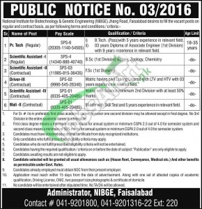 NIBGE Jobs