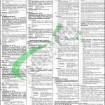 PPSC Jobs