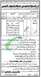 Anti Terrorism Court Gujranwala Jobs