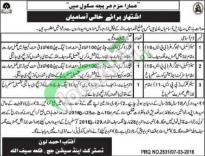 District and Session Court Qila Saifullah Jobs