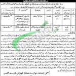 Forest Department Punjab Jobs