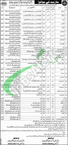 Danish School Mianwali Latest Jobs