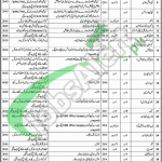 Danish School Mianwali Latest Jobs