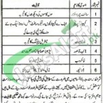 MDA Multan Jobs