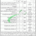 Public Sector Organization KPK Jobs