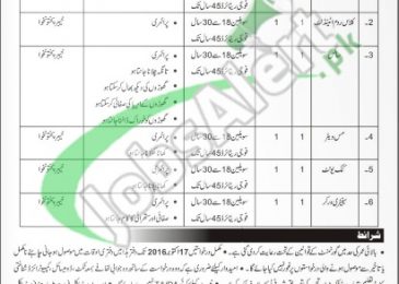 Pakistan Army Jobs