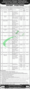 Social Welfare Department KPK Jobs