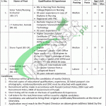 Population Welfare Department Punjab Jobs