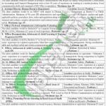 Sindh Education Foundation Jobs