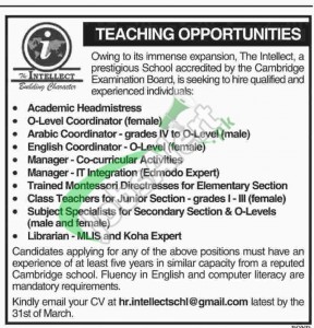 Intellect School Jobs