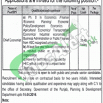 Punjab Planning and Development Chief Economist Jobs 