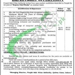 Punjab Safe City Authority Jobs