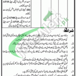 Agriculture Department Punjab Jobs