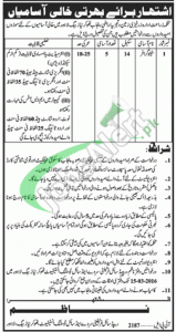 Agriculture Department Punjab Jobs