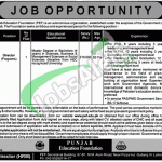 PEF Jobs