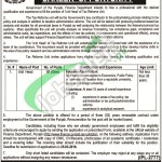 Finance Department Punjab Jobs