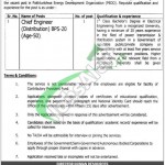 Pakhtunkhwa Energy Development Organization Jobs