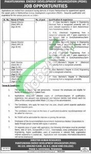 Pakhtunkhwa Energy Development Organization Jobs