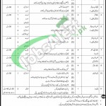 Pakistan Army Jobs