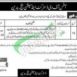 District & Session Court Badin Jobs