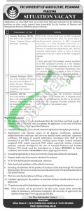 Agriculture University Peshawar Jobs