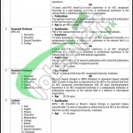 University of Education Lahore Jobs