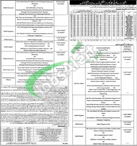 Educator Jobs