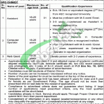 Jobs in Chiniot