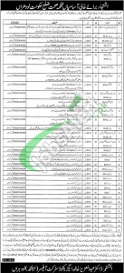 Health Department Lodhran Jobs