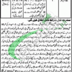 District Monitoring Office Bahawalnagar Jobs