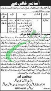 District Monitoring Office Bahawalnagar Jobs