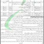 Session Court Sanghar Jobs