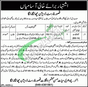 Forest Department Punjab Jobs