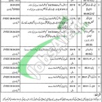 Health Department Lodhran Jobs