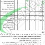 Career Offers in Irrigation Department Khanewal Jobs April Career Offers