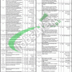 Health Department Lahore Jobs