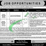 PEF Jobs