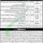 Punjab Cooperative Department Job