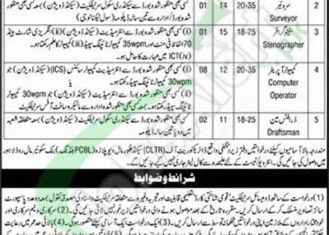 Punjab Cooperative Department Job