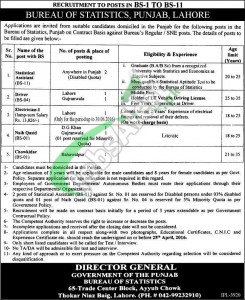 Bureau of Statistics Punjab Jobs