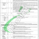 KTH Peshawar Jobs